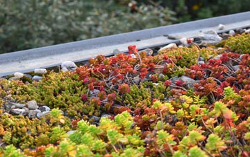 the cost of Ringshall Stocks green roof installation