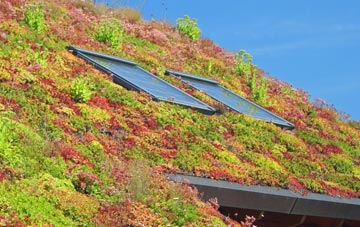 Ringshall Stocks living roof systems