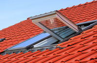 Ringshall Stocks roof window